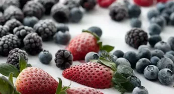 Makanan Mengandung Flavonoid Dapat Bantu Menua Lebih Baik